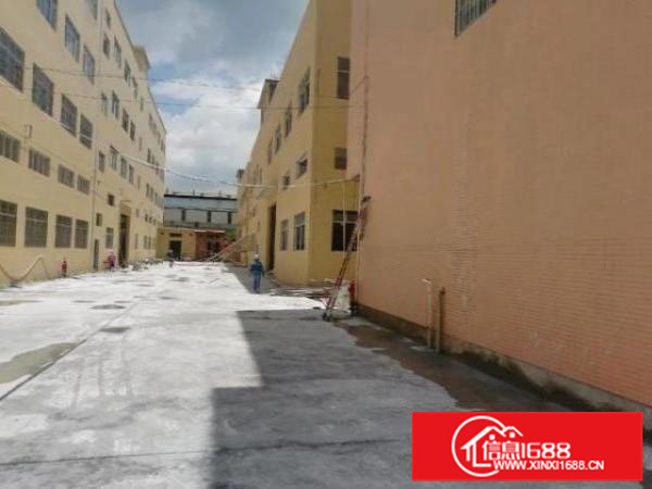 丹灶镇全新两层标准厂房2400平低价出租