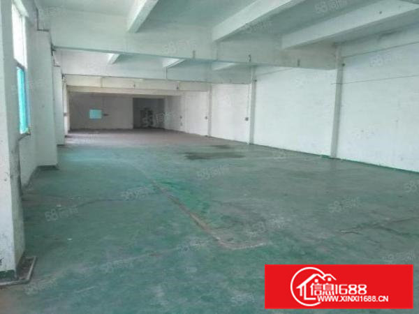 凤岗五联750平标准厂房出租含简易装修办公室地坪漆