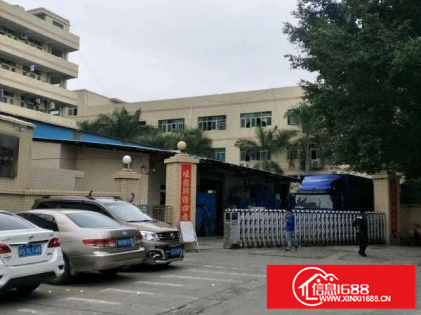 坪山石井业主自有厂房可分租800平米起出租