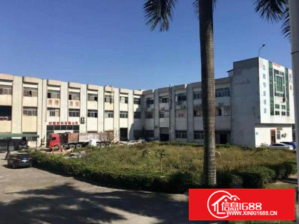 大量国有证，集体证标准独院厂房出租！