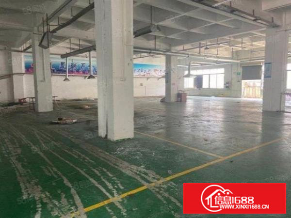 塘厦莲湖独院一楼500平米标准厂房出租，面积实在，水电主线到