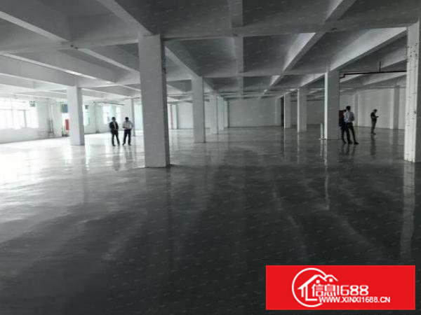 横沥石涌村红本厂房800平方出租全新地坪漆