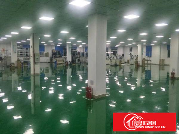 长安乌沙新出楼上3100平带洁净车办公室精装修厂房出租可分租