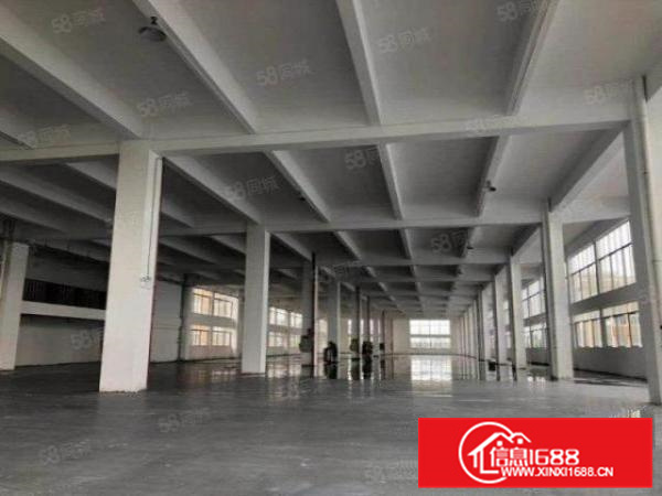 新建独栋带五吨电梯，乐从工业区15600方标准厂房环评秒过A