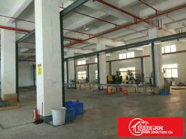 高7.5米大朗新马莲标准一楼1400平方厂房12元甩租