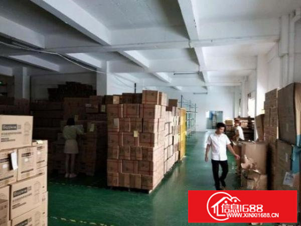 福永新和村一楼厂房850方出租，配货梯，配电大