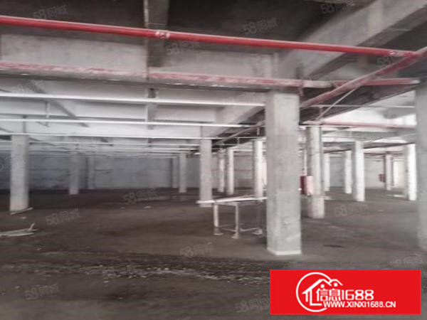 高埗镇新出可做厂房可做商铺厂房，价格8元起租，可办环评