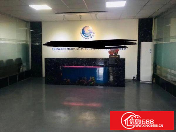 大浪2000平原房东出租