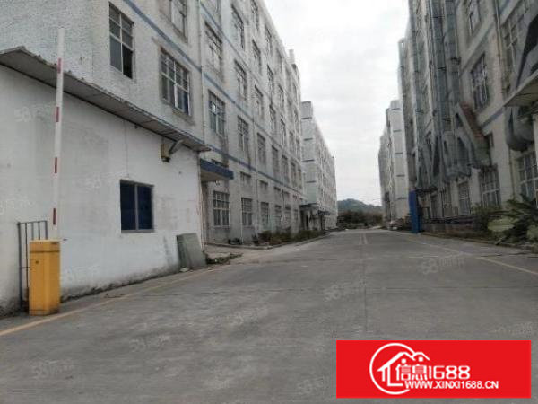 龙岗坪地标准一楼1200平方6米高工业区厂房出租