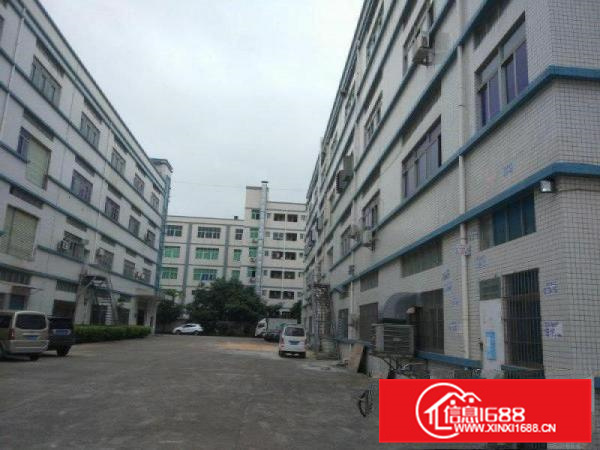 镇隆新出原房东厂房三栋29600平米出租可分租