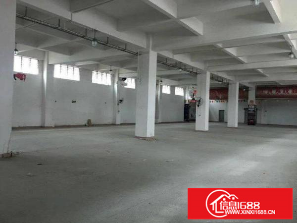 出租惠阳镇隆独院厂房一楼500平方