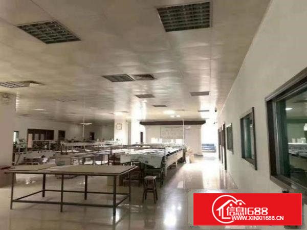 （出租）长安厦岗楼上480平厂房水电齐全带装修