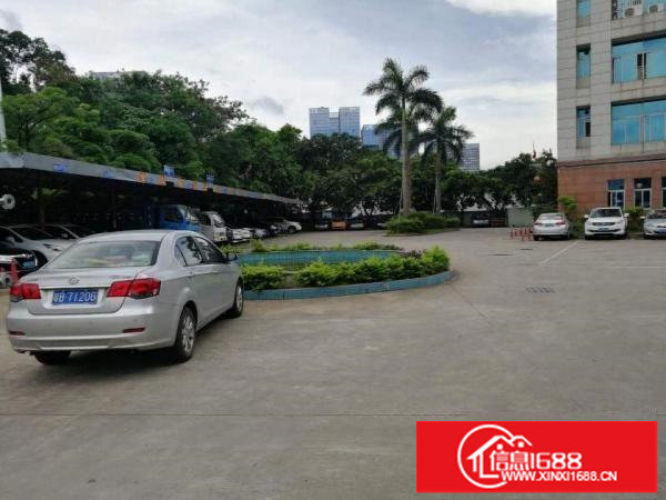 坂田天安云谷旁独院红本带装修厂房1300平可分租