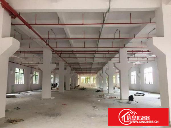 汽车站附近5000独院楼房出租