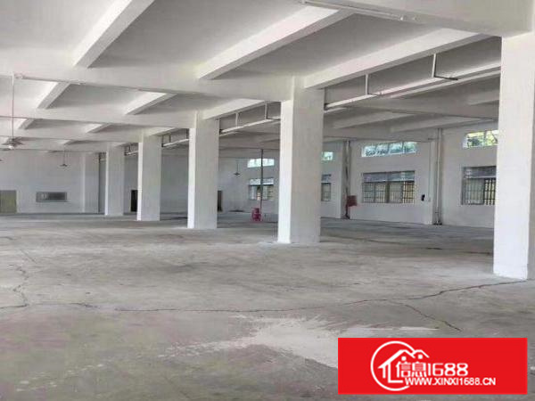 惠阳镇隆新出可办环评一楼标准厂房1400平可分租