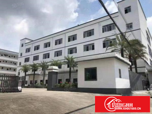 龙岗中心城独门独院厂房5000平米现成装修可分租