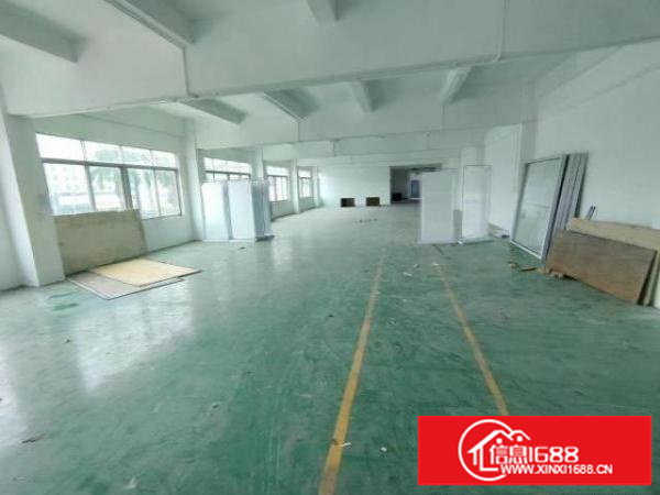 观澜福民观光路边，楼上650平方