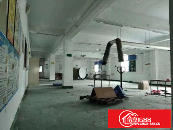 观澜梅观高速出口桂花新出楼上一整层1000平方带豪华装修