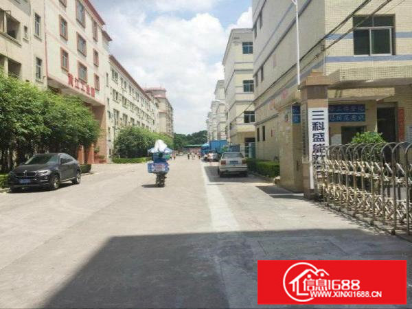 新出一楼厂房出租龙岗厂房招租可分租