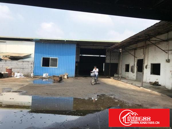 出租大朗屏山单一层钢构厂房1200平适合各行各业可办环评