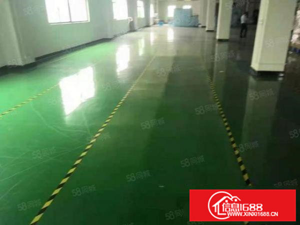 大朗新出独院14800平标准厂房钢构,部分无尘车间,地坪漆