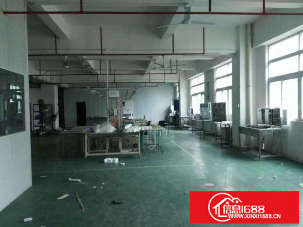 龙岗坪地新出二楼1230平方汽车站边带精装修厂房