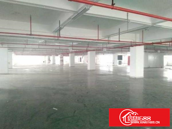 深圳市坪山区坑梓沙田社区联金路3号厂房整栋5500平出租