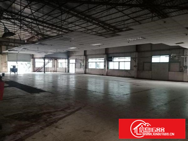 大岭山向东村空出一楼带隔热层钢构1300平方厂房出租，精装修