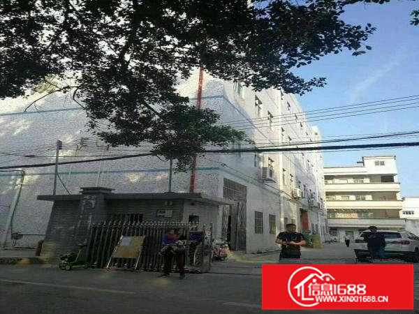 龙东新出独院厂房4600平方，原房东便宜租，