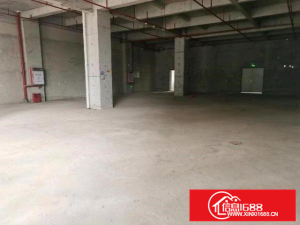 5.6米高含消防及环评的原房东高端厂房常平镇