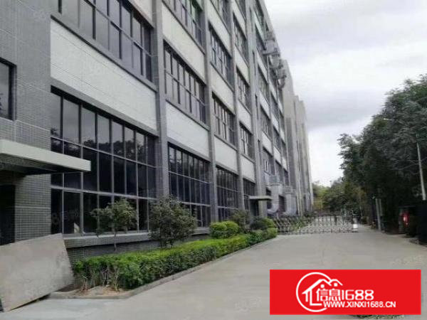 19元平雁田独门独院全新厂房出租，100平起分一楼仓库