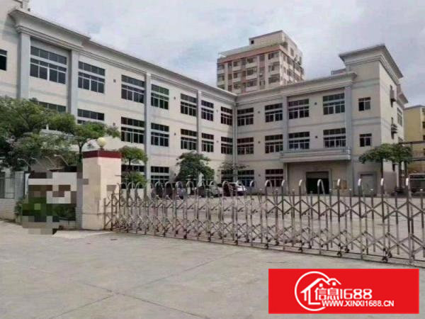 龙见田标准厂房一楼出租400平方原房东，可办环评