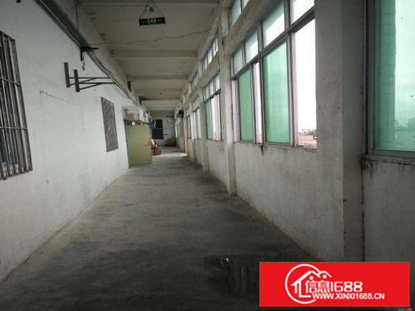 出租坂田上雪科技园东区一号厂房