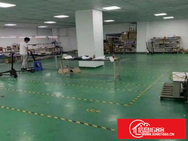 沙荷路2楼带装修560平方厂房出租