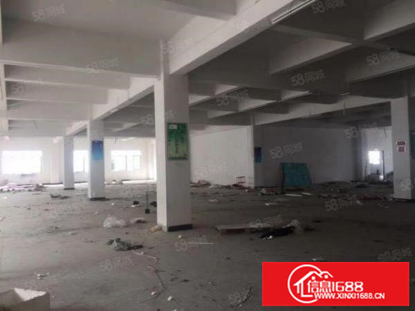 急租，茶山镇新出原房东标准二楼精装修1350平方厂房出租