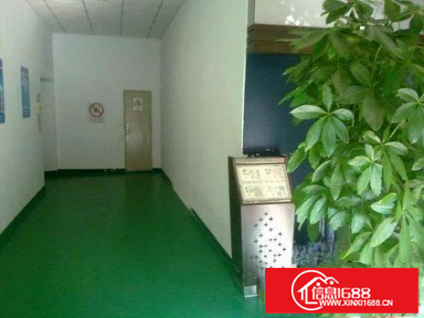 大浪澳华工业区新出3楼360平方带装修免转让费急租