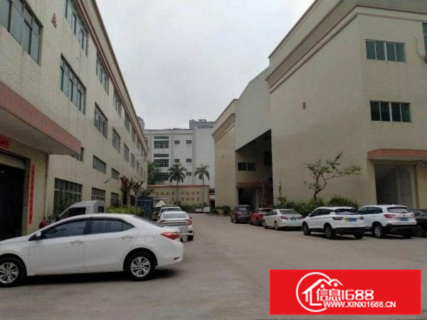 东莞大朗黄草朗可办环评原房东1600平方单层厂房出租