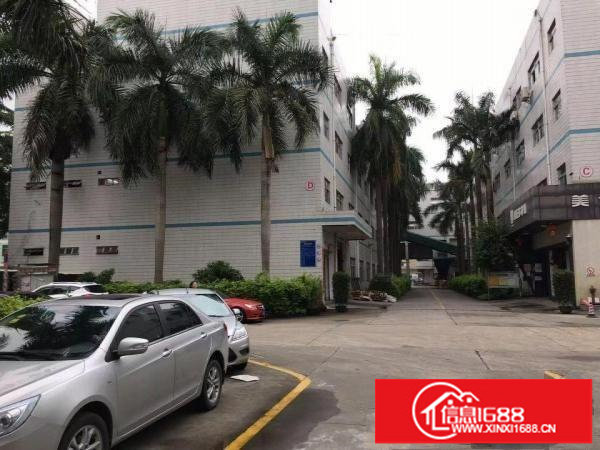 坪山坑梓2楼400平米精装修红本厂房招租