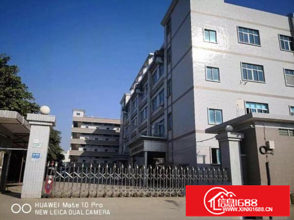 常平新出9成新花园标准厂房5000平宿舍1000