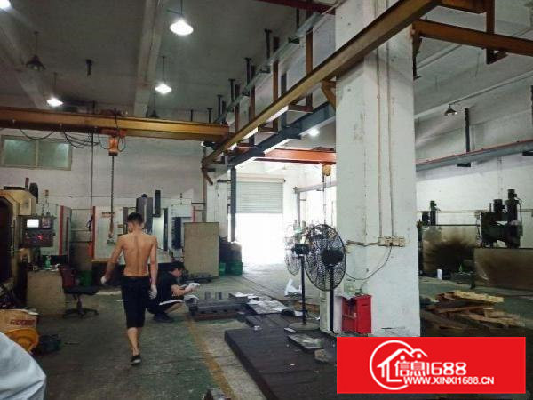 7米高有阁楼办公室大岭山镇原房东出租一楼500平厂房价低