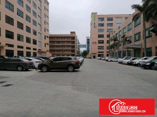 东莞清溪独院标准厂房