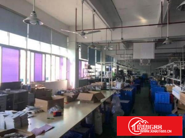 带精装修小面积厂房大岭山镇出租楼上420平厂房有办公室