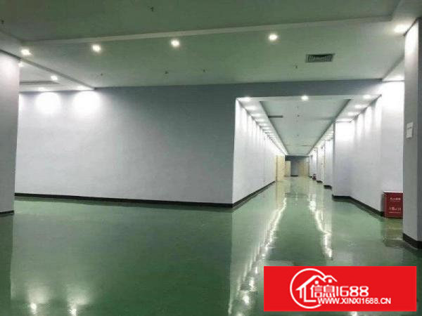 布吉丹竹头地铁电商园288平起分租有红本水电齐全