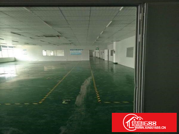 龙岗龙东南通道边上新出原房东厂房1200平米