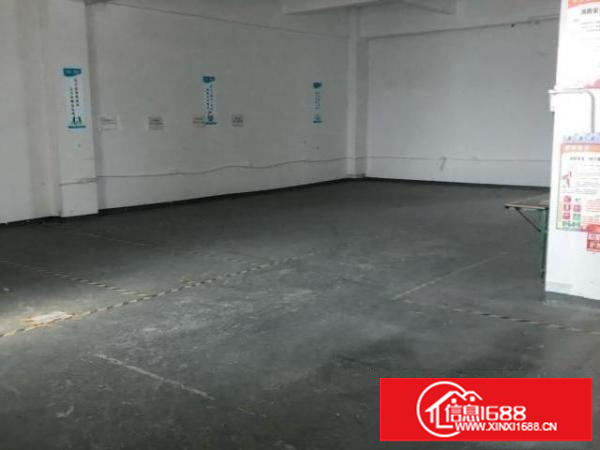 坂田带装修厂房仓库办公