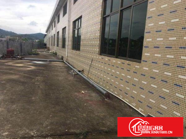 独门独院钢构厂房出租