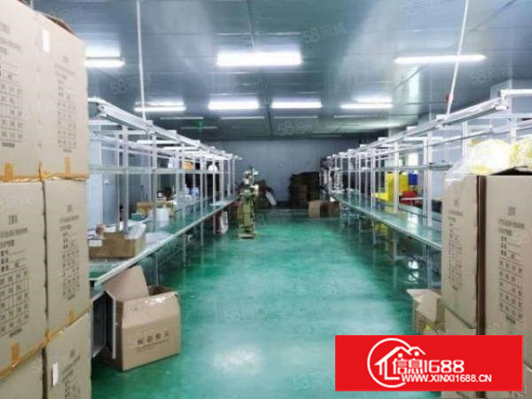 塘厦莆心湖标准厂房一楼600平,小面积便宜租