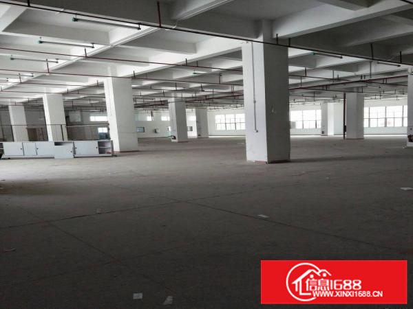 高新科技园全新标准厂房