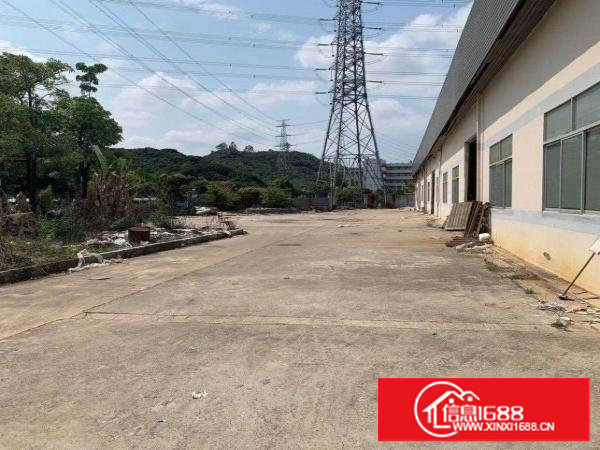 塘厦平山原房东钢构独院