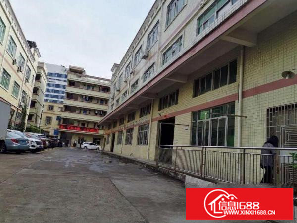 平湖华南城附近新出一楼整层1400平方招租层高6米